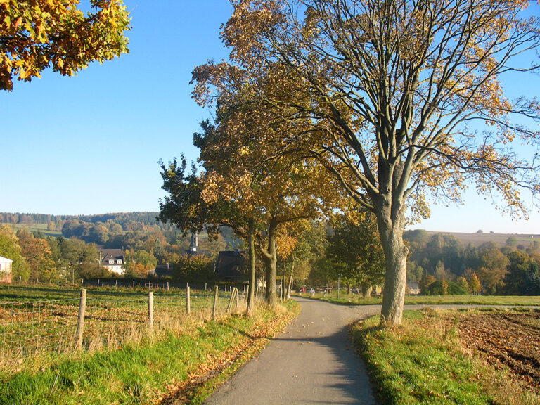 Umgebung des Bauernhofes in Chemnitz